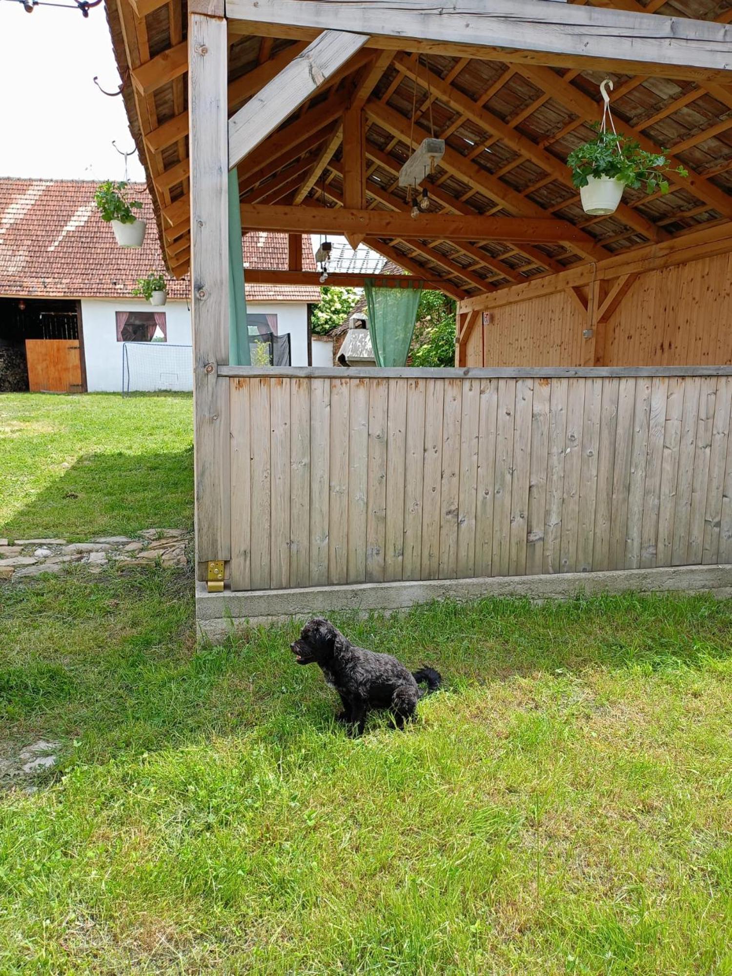 Chalet Giuel Barcut Экстерьер фото